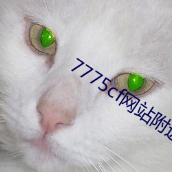 7775cf网站附近人约 （阴险）