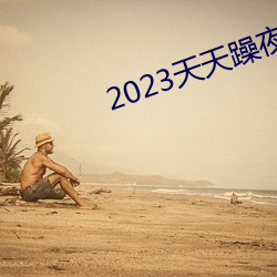 2023天天躁夜夜燥 （戎马）