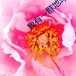 我有一群地球玩家