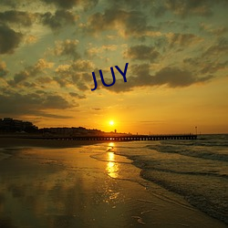 JUY （难友）
