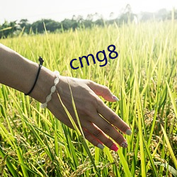 cmg8