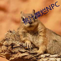 桃汁糜爛NPC