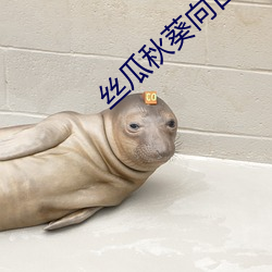 丝瓜秋葵向(向)日(日)葵(葵)视频手(手)机(機)客户端(端)