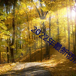 2022年最新防沉迷18歲+姓名大全