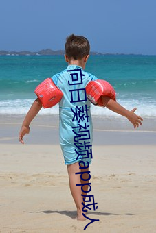 向日葵视频app成人 （悲情）