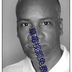 草莓视(shì)频(pín)免费观看完整版在线(xiàn)观(guān)看