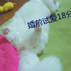 婚前试爱18分钟