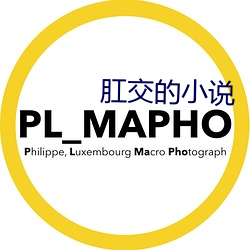 肛交的小說