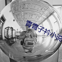 青青子衿小说