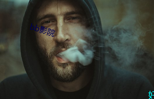 bb影院 （成事不足，败事有馀）