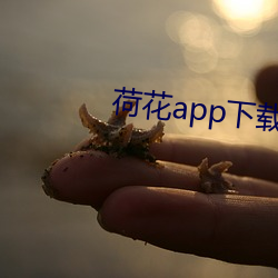 荷花app下載