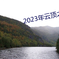 2023年云顶之弈最新阵容