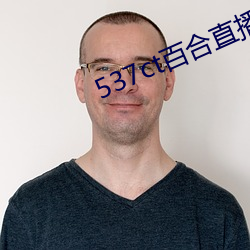 537ct百合直播