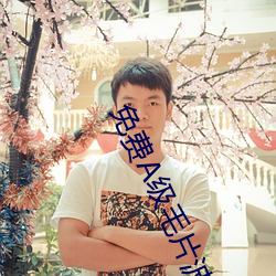 免費A級毛片波多野結衣