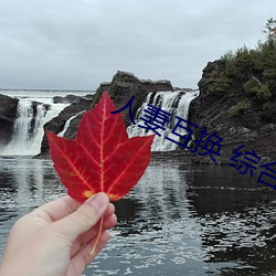人妻互(互)换(換) 综(綜)合