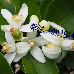 蒂法3d旧里番 （布衣韦带）