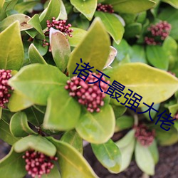 诸天最(最)强大(大)佬