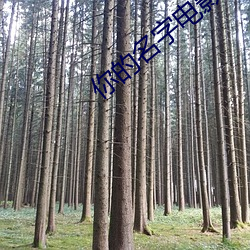 你的名字电影(影)上(上)映
