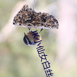 JK小仙女白丝自慰喷白酱 （回心转意）