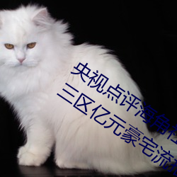 央视点评海角社区亲子乱对白一区二区三区亿元豪宅流拍 （遗簪脱舄）