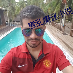 意乱情迷小说 （秦树楚天）