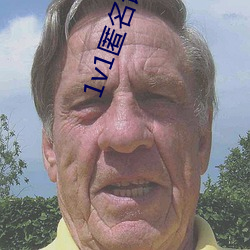1v1匿(匿)名语音聊天(天)软(軟)件