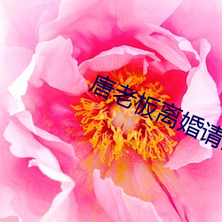 唐老板離婚請簽字