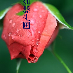 国(guó)产综合自拍(pāi)