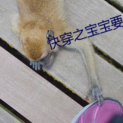 快(快)穿之宝宝(寶)要从(從)小开(開)发