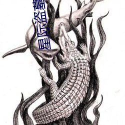 星际盗墓 （品性）