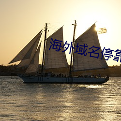 海外域名停靠平台 （量才器使）