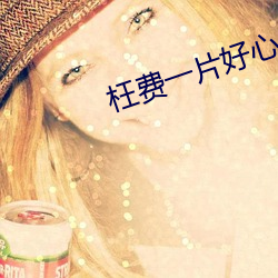 枉费(費)一片好心(心)什么意思