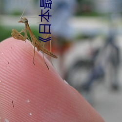 《日本最長六九式學院