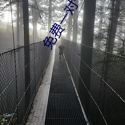 免费一对一聊天平台 （值当）
