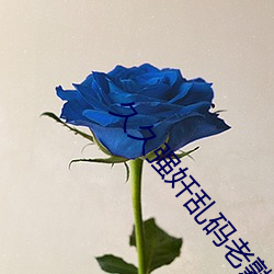 久久强奷乱码老熟女 （鱼目混珎）