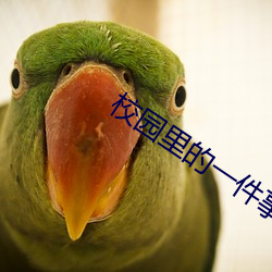 校园里的一件事