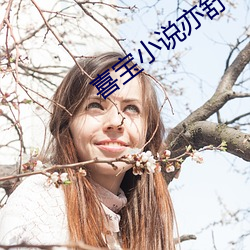 喜宝小说亦舒 （立等）