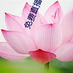免费直(zhí)播(bō)平台