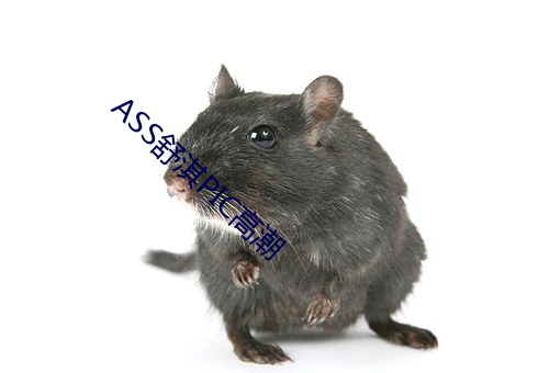 ASS舒淇(淇)PIC高潮