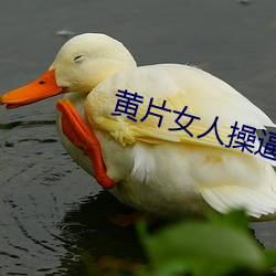 尊龙凯时-人生就是搏!