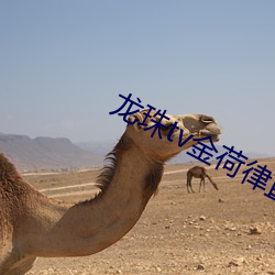 金年会 | 诚信至上金字招牌