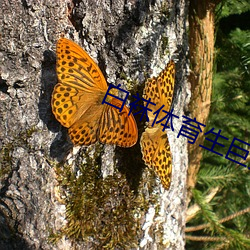 白袜体育生巨大粗(cū)爽GAY网(wǎng)站