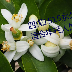 四虎1515永久(久)免费(費)1515HH:一款(款)适(適)合年轻(輕)人使用(用)的看剧神(神)器
