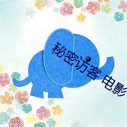 秘(mì)密访(fǎng)客(kè) 电(diàn)影