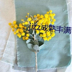 jizz成熟丰满 （调值）