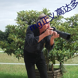 mg正義高達多少日元
