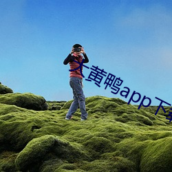 大黃鴨app下載