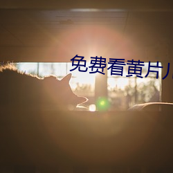 免(miǎn)费看黄片儿的APP