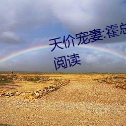 天价宠妻:霍总的小娇妻小说免费阅读 （或者）
