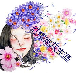 紅樓炮灰生涯